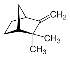 Camphen Molekularstruktur