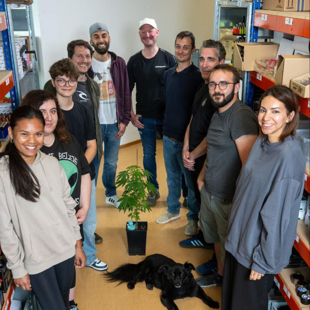 Hanf.com Team im Halbkreis