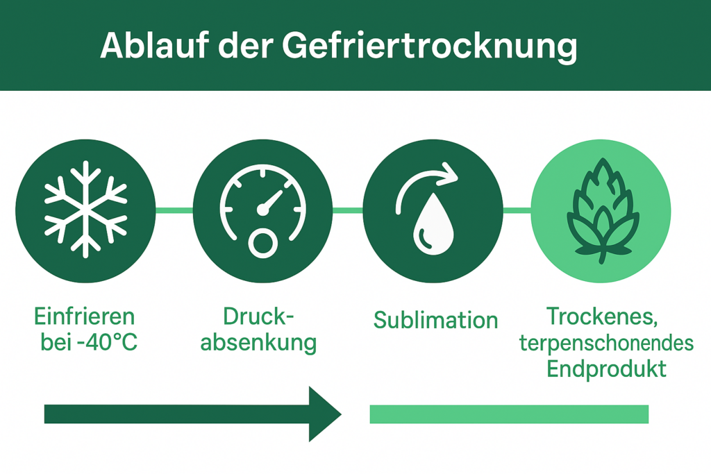 Ablauf_Gefriertrocknung_Grafik
