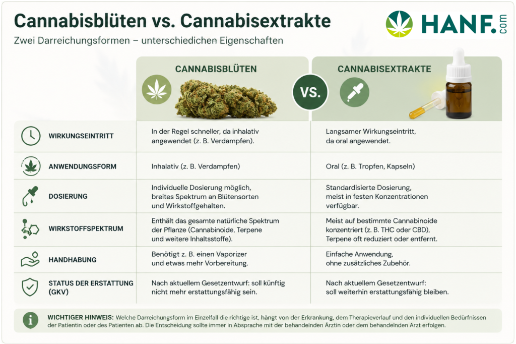 Vergleich von medizinischen Cannabisblüten und Cannabisextrakten hinsichtlich Anwendung, Wirkung und GKV-Erstattung