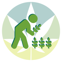 Ernte & Weiterverarbeitung