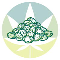 CBD