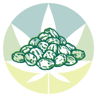 CBD