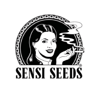 Hersteller: Sensi Seeds