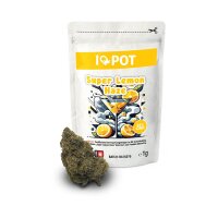 ILovePot CBH Blüten Super Lemon Haze 5g