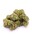 ILovePot CBD Blüten