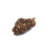 ILovePot CBD Blüten Purple Haze 1g