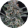 Pure Instinto Samen Autoflowering Tri-Whip Kush 24% THC 3 Samen + 1 Gratis