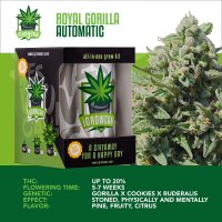 Royal Queen Seeds Royal Gorilla IGrowCan Growing Kit