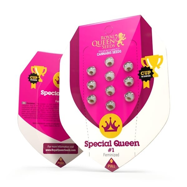 Royal Queen Seeds Samen Special Queen #1 feminisiert (3 Samen)
