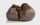 Ilovepot HHZ Nepal Cream Hash 10 g