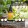 Sun Power Vitamin K2 / D3 Tropfen