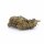 MindMunchies 10-OH-HHC Blüten 1g Lemon Haze