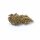 MindMunchies 10-OH-HHC Blüten 1g BZ Queen