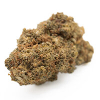 MindMunchies 10-OH-HHC Blüten 1g V One