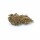 MindMunchies 10-OH-HHC Blüten 2g BZ Queen