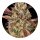 Barneys Farm Amnesia Haze Auto - 5 Seeds