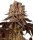 Barneys Farm Samen Purple Punch feminisiert - 5 Seeds