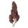 Royal Queen Seeds Samen CBD Purplematic Auto (1 Samen)
