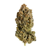 Royal Queen Seeds Samen CBD Royal Highness feminisiert (1...
