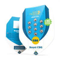 Royal Queen Seeds Samen Royal CBG Auto (1 Samen)