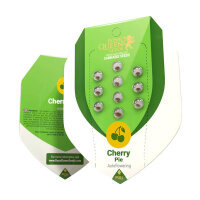 Royal Queen Seeds Samen Cherry Pie Auto (1 Samen)