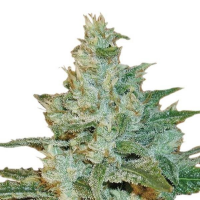 AK-47