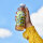 Heimat Fresh Cannabis Ice Tea