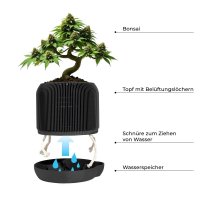 CannaBonsai Grow Kit Schwarz - ohne Samen