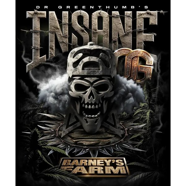 Barneys Farm Samen Insane OG feminisiert - 3 Seeds