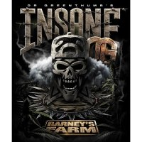 Barneys Farm Samen Insane OG feminisiert - 3 Seeds