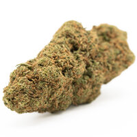 Hempodia CBD Blüten 2g Strawberry Haze