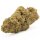 Hempodia CBD Blüten 2g Strawberry Haze