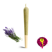 MindMunchies DNT-9 Prerolled Stick Lavendico