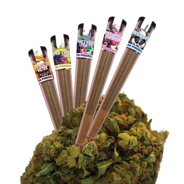 ILovePot CBD Prerolled Räucherstäbchen 20% Tube