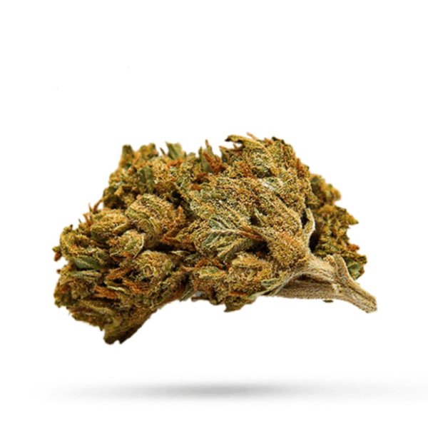 Hempodia CBD Blüten 2g Blueberry Muffin