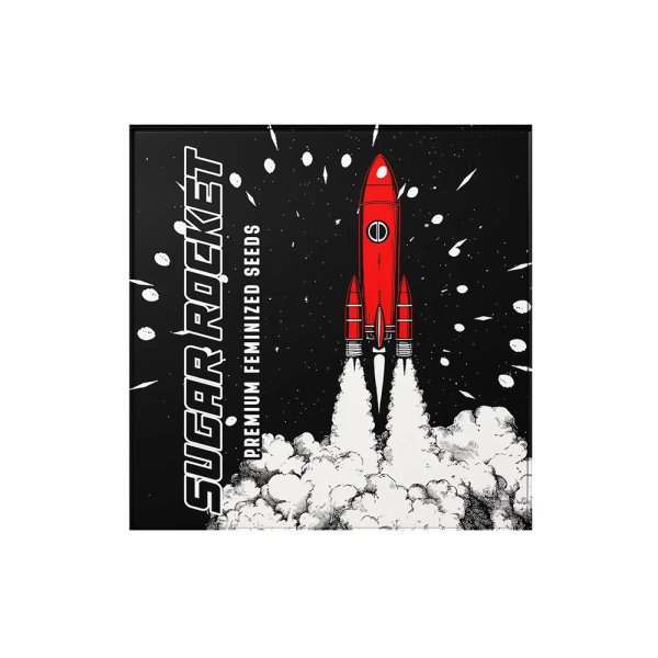 Doja Samen Sugar Rocket Cali Genetik feminisiert - 6 Seeds