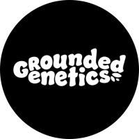 Grounded Genetics Samen feminisiert