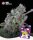 Holy Hemp Samen US Genetics versch. Sorten 3 Samen