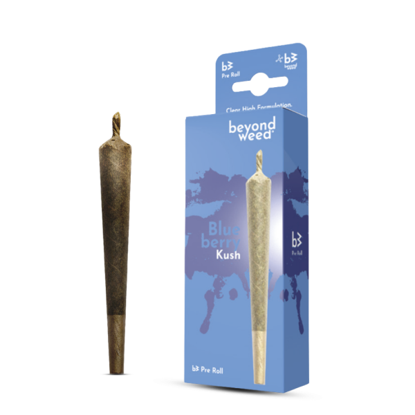 Beyond Weed - B3 Räucherstäbchen - Blue Berry Kush
