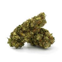 Sanaleo CBD Blüten (1g) Orange Bud
