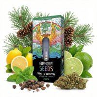 Euphoria Samen White Widow Autoflowering - 3 Seeds