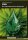 Buch CBD Cannabinoid mit Potenzial