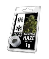 Plant of Life CBD Jelly 22% 1g Amnesia Haze