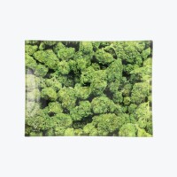 Syndicate Mischschale Glas versch Motive small Buds