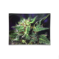 Syndicate Mischschale Glas versch Motive large Blue Dream
