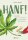 Buch Hanf Markus Berger