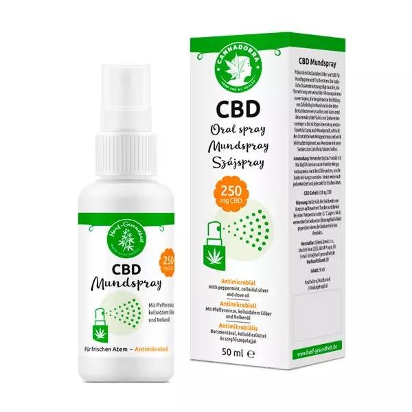 Hanf Gesundheit Lippenbalsam