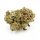 OnlyGrams Rohstoff 2g - Hanfi Strawberry