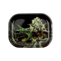 Syndicate Mischschale Metall Strain O.G. Kush-18x14 cm